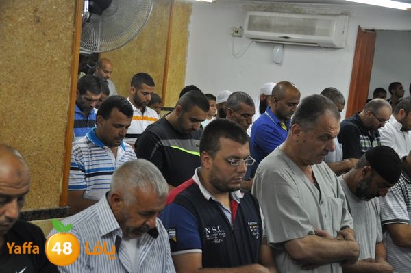 trawe7 noor jame3 lud 714 (4).JPG